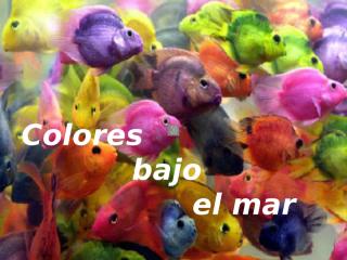 Colores_bajo_el_mar-TB.pps