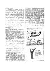 introducción a la permacultura - bill mollison (2).pdf