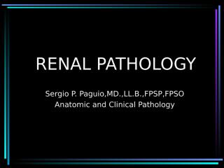 kidney lecture new.ppt